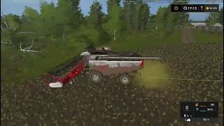 видео: Farming Simulator 17.Карта***** Рассвет*****.Серия 41.уборка рапса продажа жидких удобрени. картинка: Farming Simulator 17.Карта***** Рассвет*****.Серия 41.уборка рапса продажа жидких удобрени.