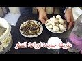 كيفية زراعة فطر عش الغرابGrow mushrooms