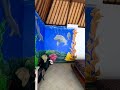 Resort Gecko Bali: 30 second Resort tour #shorts #bali