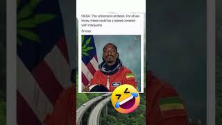 High on Humor: A Dank Collection of Weed Memes! High on Humor: A Dank Collection of Weed Memes!