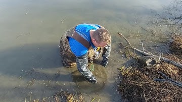 Beaver Trapping 101-The Basic sets Part 2
