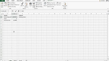 Future Value Lump Sum VBA