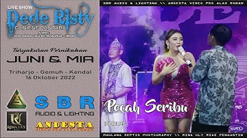 PECAH SERIBU ~ INDRI MS ~ DEDE RISTY LIVE THE WEDDING JUNI & MIA PART 2