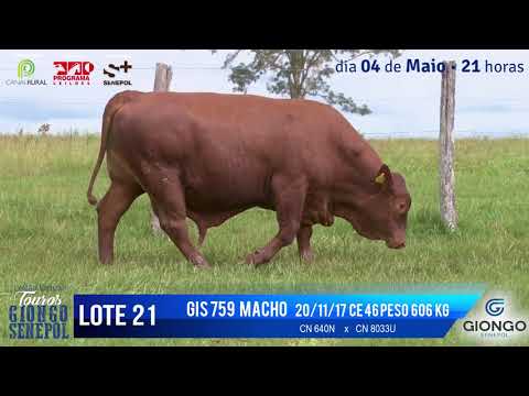 LOTE 21 GIS 759