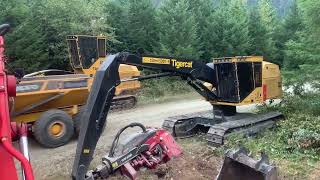 Download Lagu The Large Barge \u0026 Land of Logs MP3