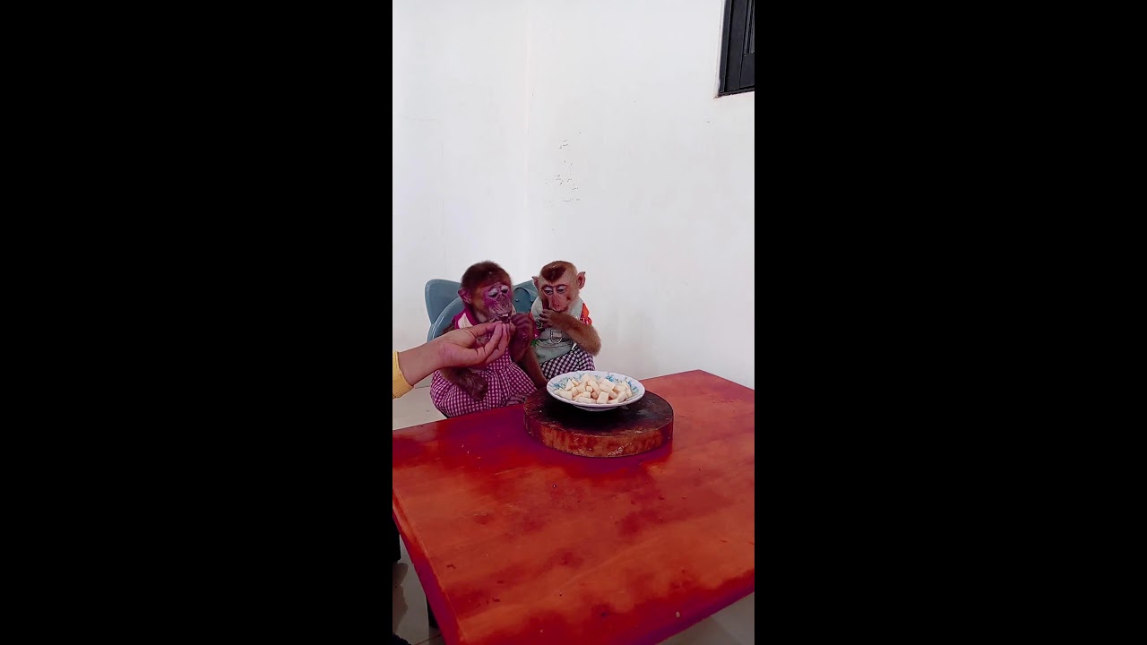 Mom  cut fruit for Icy and bray-an 