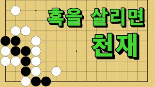 바둑 묘수 사활 - 폭탄을 설치하는 묘수가 있습니다. 흑을 살려보세요.