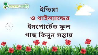 Imported Tree In Bangladesh  ইমপোর্টেড গাছ পাবেন আমাদের কাছে