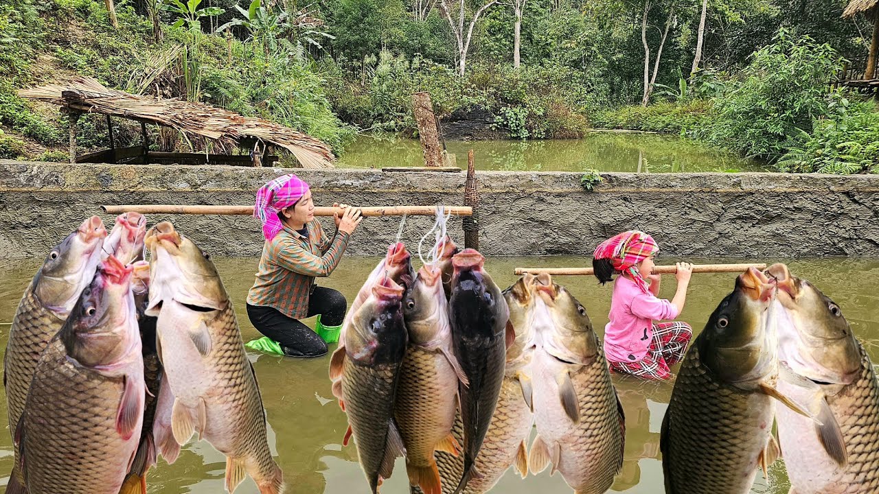 Pet care - How to catch and harvest giant fish and then take them to the market to sell.