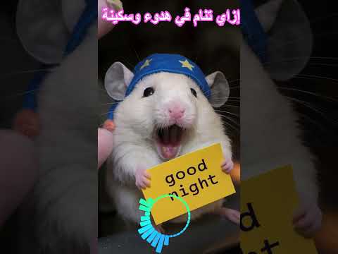 نظم نومك نام كويس هاتحافظ علي صحتك