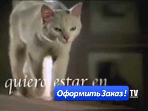 Корм для кошек Cat Chow компании Purina