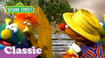 Ernie and the Honker Ducky Dinger Jamboree Song | Sesame Street Classic