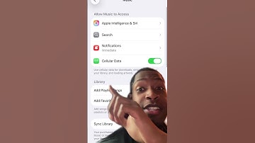 How to use Audio Mix on IOS 26
