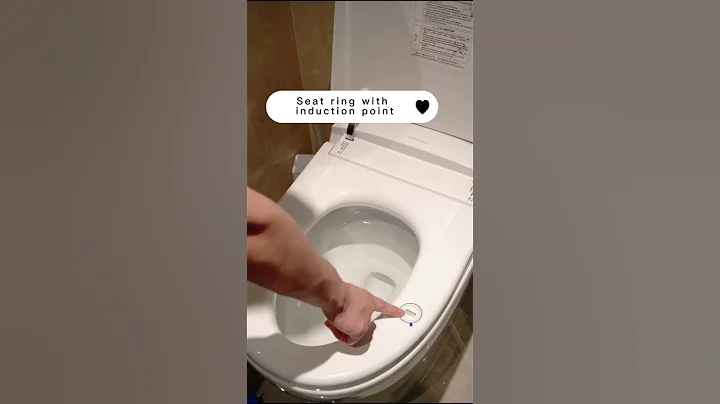 Buying a smart toilet requires more than just seat heating!