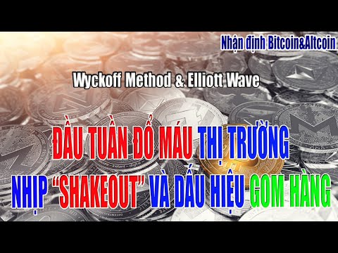 Nhận định Bitcoin&Altcoin #47 I Đầu tuần đẫm máu thị trường, nhịp shakeout và dấu hiệu ''gom hàng''