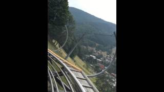Black Forrest  - Rodelbahn Todtnau Schwarzwald - Oak Hall 2015