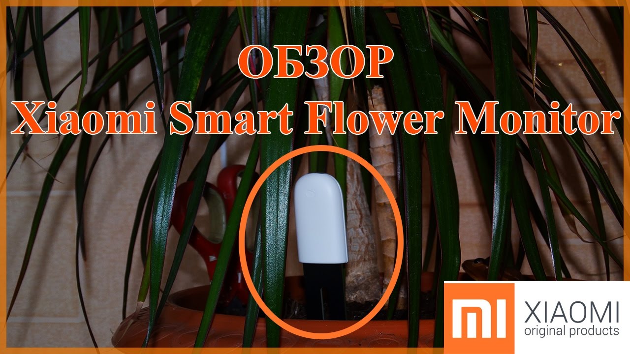 Xiaomi Smart Flower Monitor