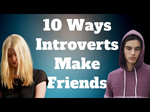 Video: Vrienden Vinden Voor Een Introvert