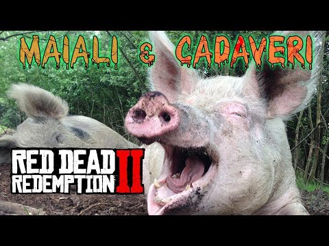 RED DEAD REDEMPTION 2: Che succede se butto un cadavere ai maiali? Niente. #noclickbait