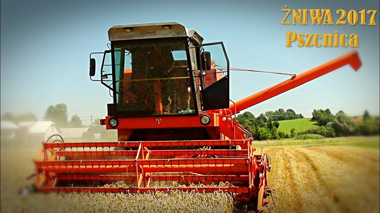 Żniwa 2017||Pszenica||Bizon Z056||Podkarpacie ㋡