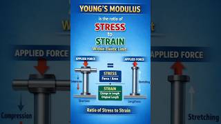 Young's Modulus | Simple Concepts Of Young's Modulus | Class 11 Physics #physics