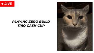 [103/300] 🏆PLAYING ZERO BUILD TRIO CASH CUP🏆