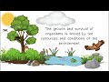 Ecosystem Quiz