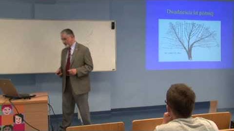 Język językowi nie równy - Algorytmika i programowanie - IT Szkoła