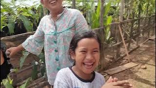 Lahiran anak kambing Nabila part 2 wkwk