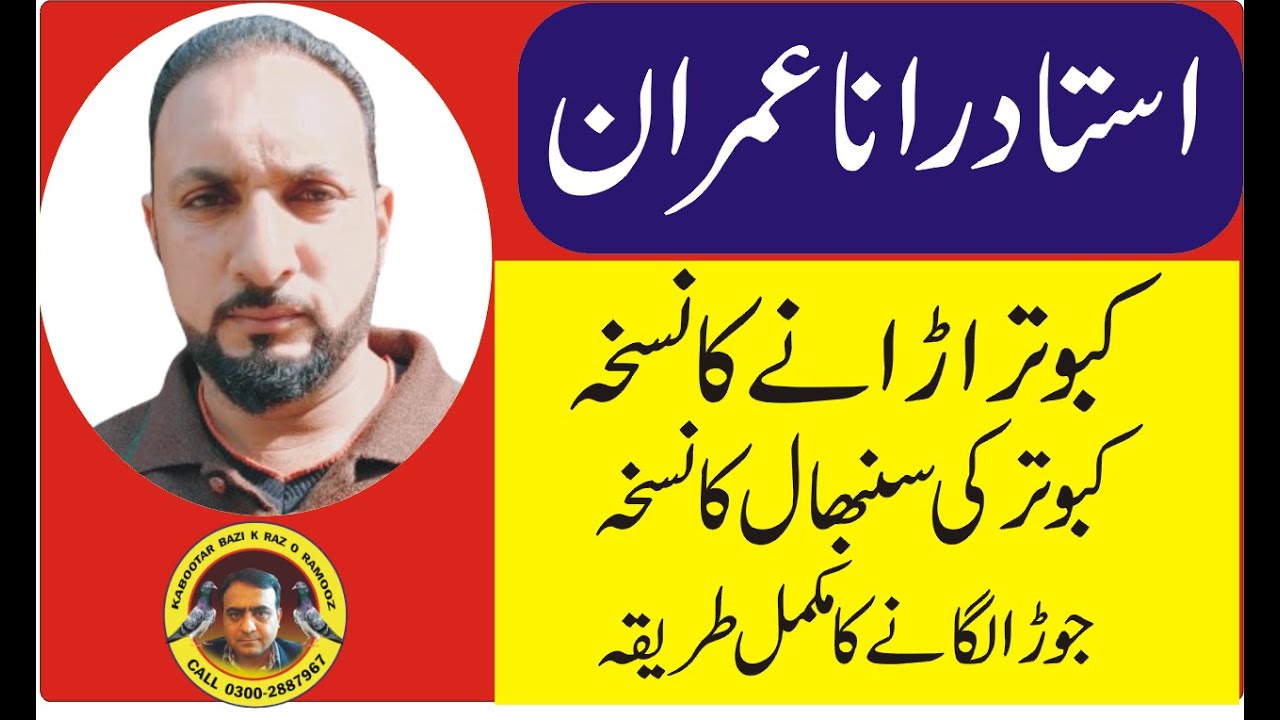 Ustad Rana Imran kabootar Urany Ka Formula Kabuter Ke Sanbhal Ka ustad-rana-imran-kabootar-urany-ka-formula-kabuter-ke-sanbhal-ka