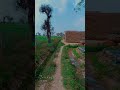 mhari dhani 🥰 #viral #ytshorts #crazyteam #trendingshorts #youtubeshorts #shortsfeed