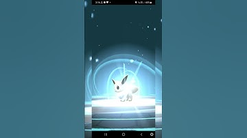 Evolution of shiny eevee into Shiny leafeon |Pokémon GO |#shorts #ANYTHINGMAKERS #shiny