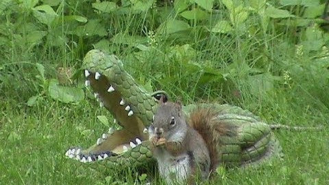 Audio Visual Catnip- June Mix