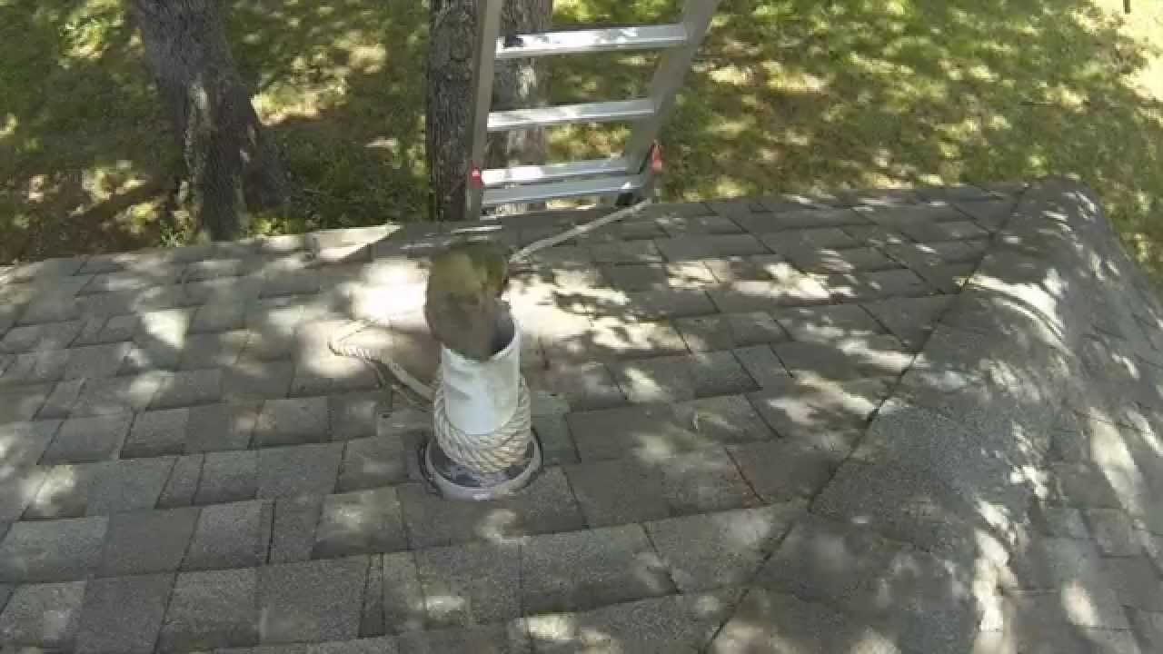 Squirrel climbs rope to freedom - YouTube