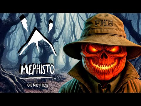 Something New! and 10/22/2024 Weekly Update - YouTube