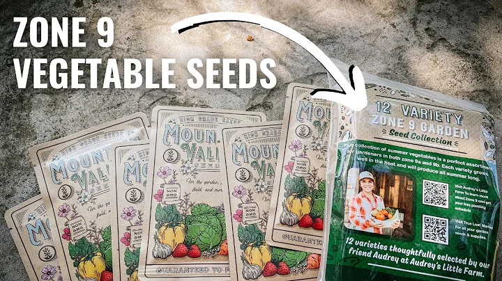 The BEST Zone 9 Vegetable Seed Collection!