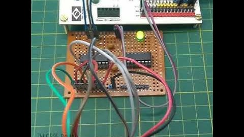 Contador Binário com a Waldunano e a 74HC595 Board - Videos do Instagram