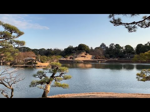 Video: Japanese tshuaj yej ceremony: duab, npe, khoom siv, suab paj nruag