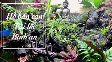 Hồ bán cạn thác nước đẹp, tĩnh tâm | VIVA AQUARIA