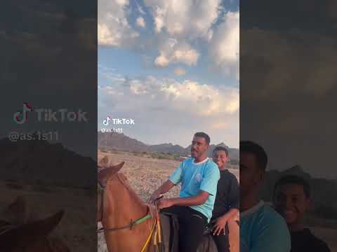 هههههههههههههه المدرب معقوق خلف خيل و خياله راكان خيل عربيه اصيله شعب الصيني ماله حل