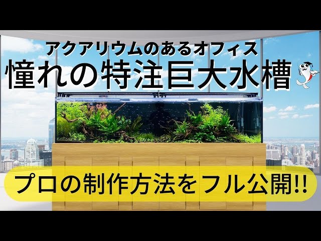 大きな水槽 Amazon | JOGIO 金魚鉢 水槽 四角い水槽 メダカ 鉢 メダカ 水槽