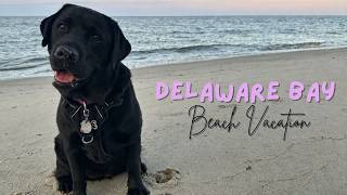 Delaware Bay Beach Vacation