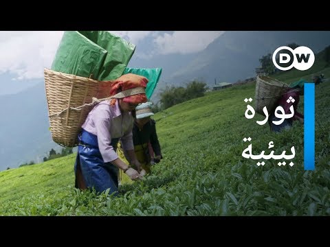 وثائقي | متمردو البيئة في جبال الهيمالايا | وثائقية دي دبليو