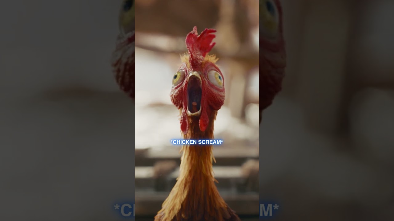 *Heihei scream* #MOANA IS IN THEATERS THIS FRIDAY! 🐓🌊