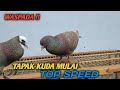 🔴HATI HATI‼️TAPAK KUDA MULAI MENEMUKAN TOP PERFORMANCE