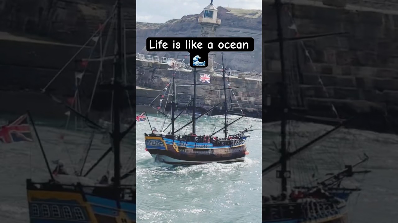 Waves are Life’s Ups & Downs 🌊 