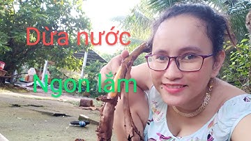 Đốn dừa nước