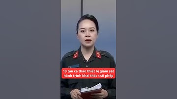 Khởi tố vụ án 13 tàu cá tháo thiết bị giám sát hành trình để khai thác trái phép #tinnong24h