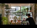 Room Tour | ปลูกต้นไม้ในห้องนั่งเล่น | Living Room Decorating With Indoor Plants