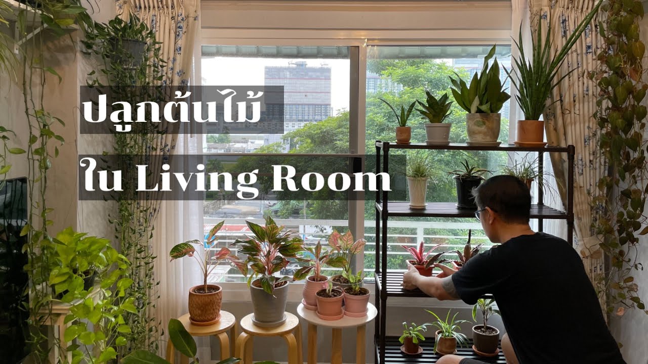 Room Tour | ปลูกต้นไม้ในห้องนั่งเล่น | Living Room Decorating With Indoor Plants